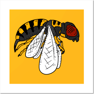 a detailed tattoo illustration of a flying wasp insect. Posters and Art